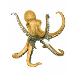 Bronze Gold Octopus Sculpture / Table Base