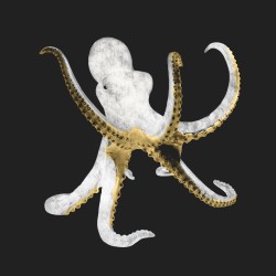 Bronze White Octopus Sculpture / Table Base