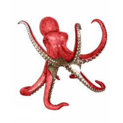 Bronze Coral Octopus Sculpture / Table Base